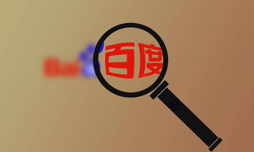 超级蜘蛛池之百度秒收秒排名的做法