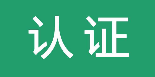 最好的蜘蛛池网站